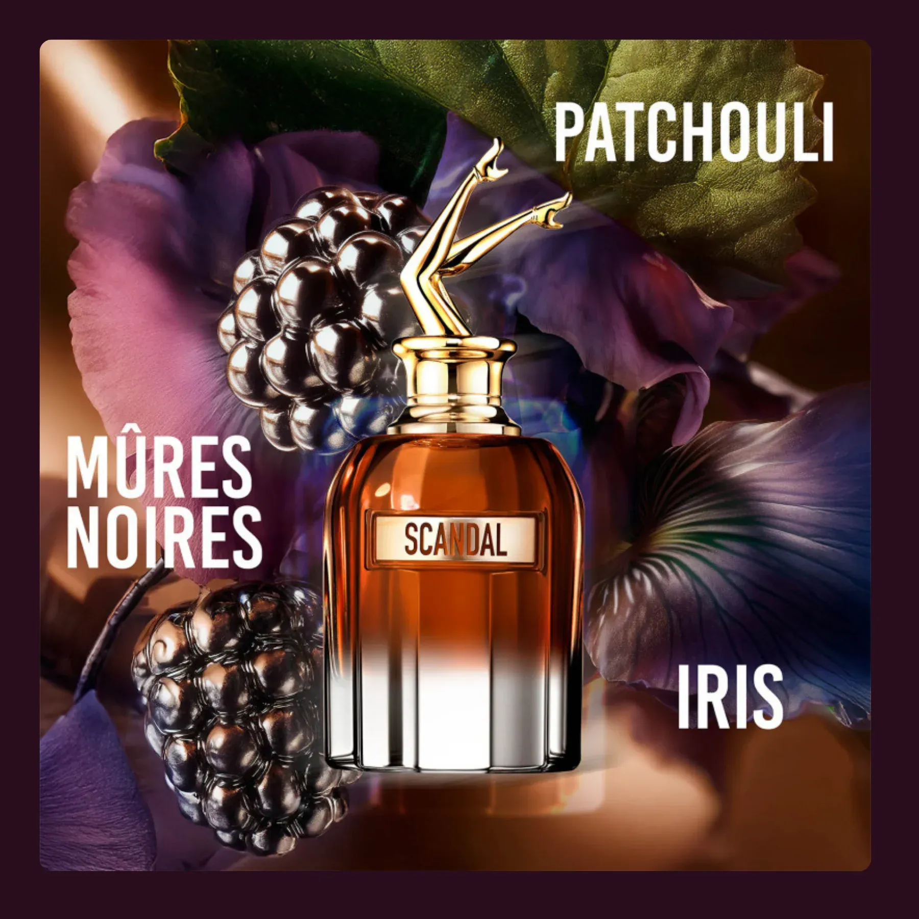 GERAL SCANDAL ELIXIR